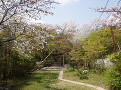-常寂光寺