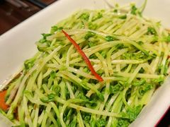 白灼豆苗-火宫殿·湘菜小吃·商务宴请·生日聚会(东塘店)