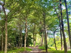 -白沙门生态公园