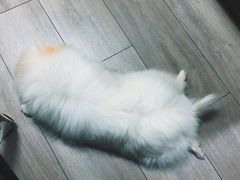 -沈记烧烤海鲜(江汉二路店)