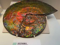 -国家自然博物馆