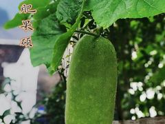-婺源风景区