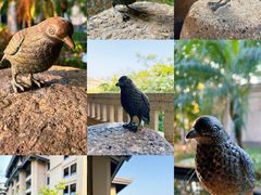 -海南清水湾莱佛士酒店