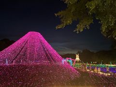 -光明农场大观园
