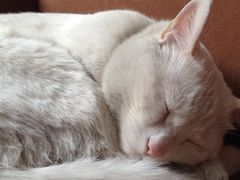 iphone_upload_pic-映画咖啡