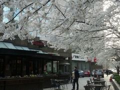 android_upload_pic-玛格萝妮比萨屋(四平店)