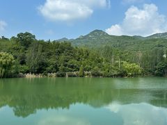 -峨庄瀑布群风景区