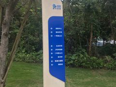 -野狸岛