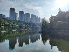 -重庆彩云湖湿地公园