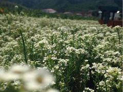 iphone_upload_pic-乌龙峡谷景区