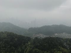 -大金鹰园