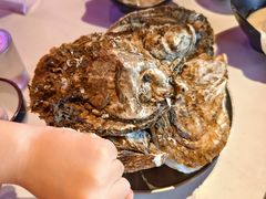 -蚝堡海鲜·威海菜·海肠捞饭·烧烤·亚洲吃蚝公司(幸福门店)