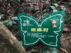 -呀诺达热带雨林