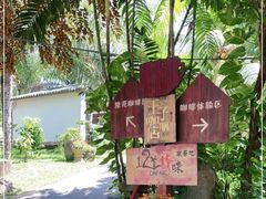 -兴隆隆苑咖啡庄园