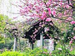 -运河游船(武林门码头)