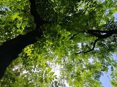 -句容茅山景区