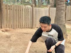 -灵玲国际马戏城
