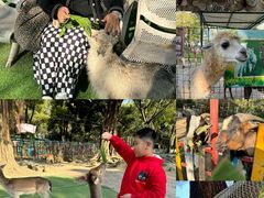 -广东花都香草世界旅游度假区