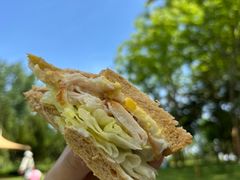 -卡吉诺动物奶油生日蛋糕(东明路店)