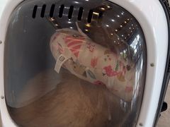 -贝康宠物医院·犬猫全科·小动物特色诊疗中心(东环路店)