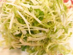 -九花山烤鸭店