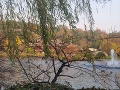-重庆园博园