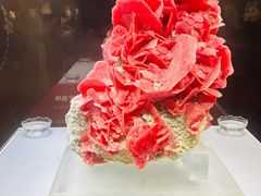 -湖南省地质博物馆