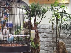 -丽江庭院之丽江往事(安定门店)