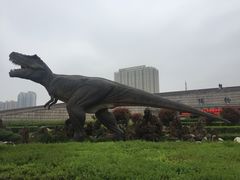 -陕西自然博物馆