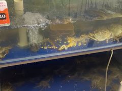 -阳澄湖大闸蟹·琼灵阁牌品牌连锁(吴中总店)