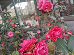 -同济大学(嘉定校区)