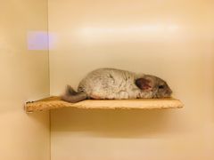 -龙猫仔乐园(惠福东路店)