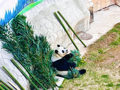 -青藏高原野生动物园
