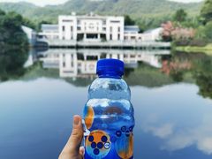 -大屏嶂森林公园