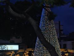 -拉完海鲜大排档(温岭店)