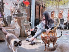 -喵屿·大理花园猫咖