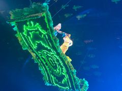 -三亚千古情景区游客中心-接待中心