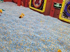 -沈阳海洋探索中心