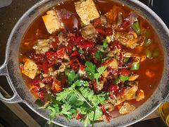 -蛙喔牛蛙(金桥太茂店)