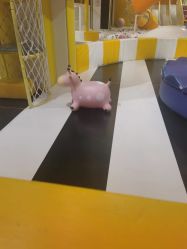 -泛尼尼儿童乐园(文化广场店)