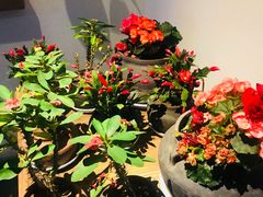 -瓦库茶馆17号(海汇港店)