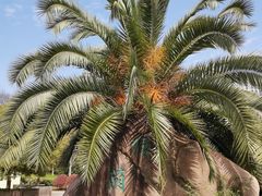 -苏州河梦清园环保主题公园