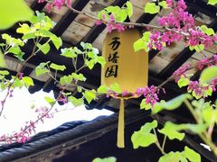 -常熟方塔园