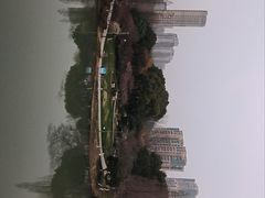 -青枫公园