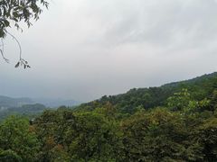 -铁山坪森林公园