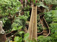 -正佳雨林生态植物园