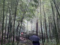 -敬亭山风景名胜区