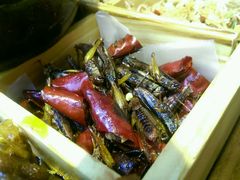 -福照楼汽锅鸡·云南菜(护国路店)