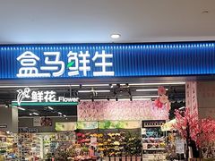 -盒马鲜生(宝地店)