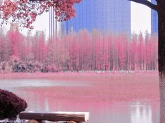 -艾溪湖湿地公园